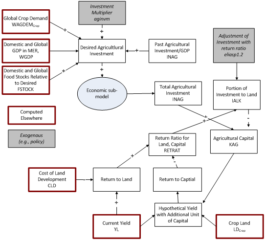 agricultural investment and capital flowchart