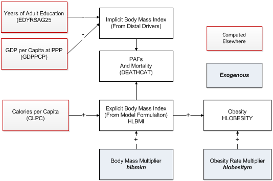 BMI and obesity flowcharts