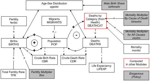 Demographic Overview